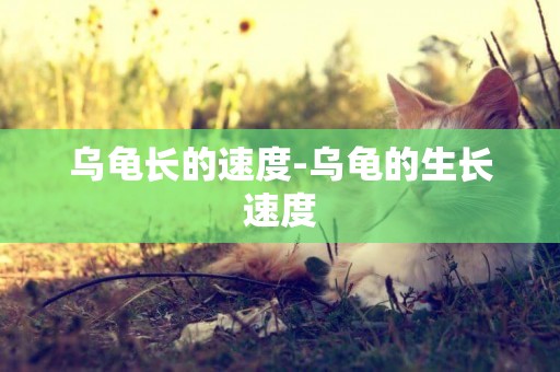 烏龜長的速度-烏龜的生長速度