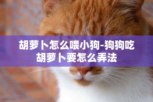 胡蘿卜怎么喂小狗-狗狗吃胡蘿卜要怎么弄法