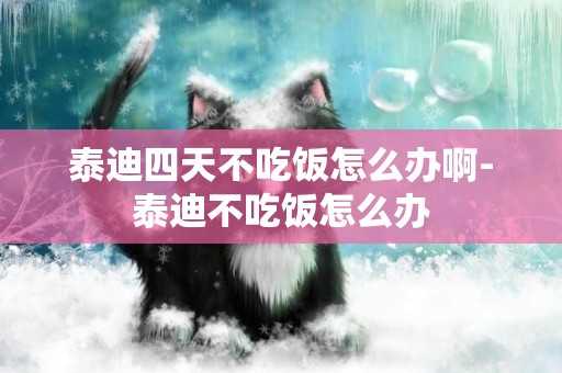 泰迪四天不吃飯怎么辦啊-泰迪不吃飯怎么辦