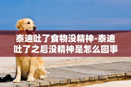 泰迪吐了食物沒精神-泰迪吐了之后沒精神是怎么回事