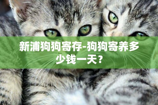 新浦狗狗寄存-狗狗寄養多少錢一天？