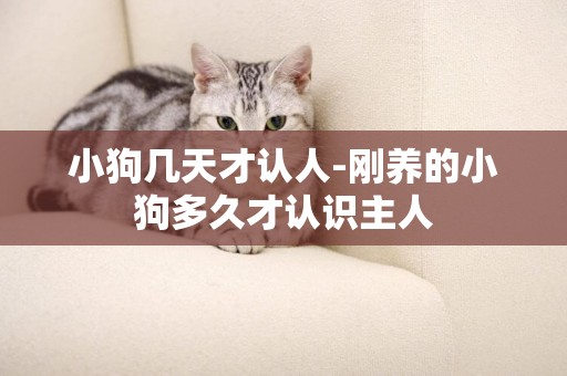 小狗幾天才認人-剛養的小狗多久才認識主人
