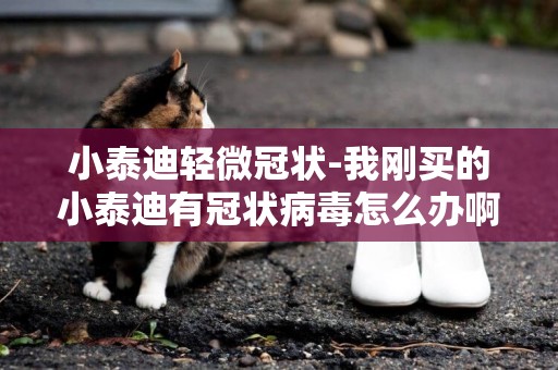 小泰迪輕微冠狀-我剛買的小泰迪有冠狀病毒怎么辦啊?
