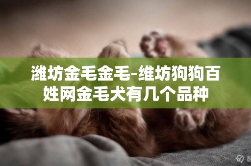 濰坊金毛金毛-維坊狗狗百姓網金毛犬有幾個品種