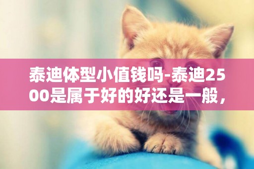 泰迪體型小值錢嗎-泰迪2500是屬于好的好還是一般，是不是體型越小越貴