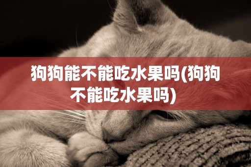 狗狗能不能吃水果嗎(狗狗不能吃水果嗎) 