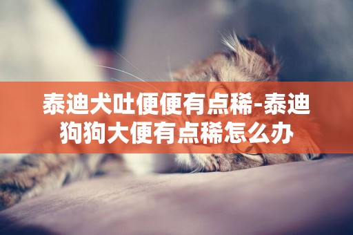 泰迪犬吐便便有點稀-泰迪狗狗大便有點稀怎么辦