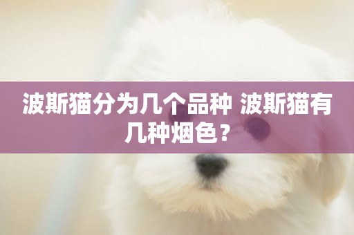 波斯貓分為幾個品種 波斯貓有幾種煙色？
