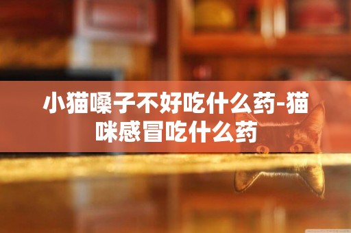 小貓嗓子不好吃什么藥-貓咪感冒吃什么藥