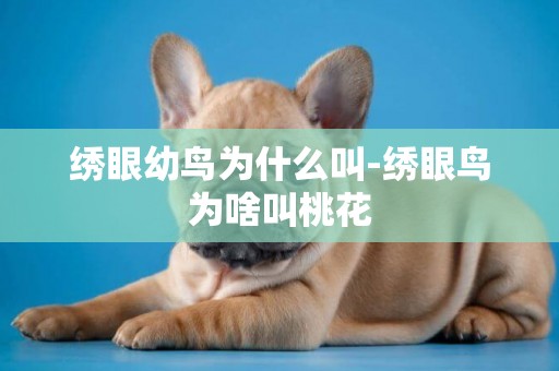繡眼幼鳥為什么叫-繡眼鳥為啥叫桃花