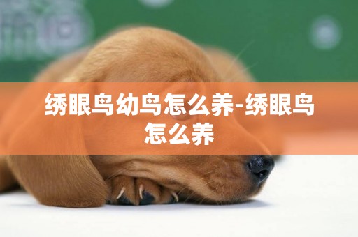 繡眼鳥幼鳥怎么養-繡眼鳥怎么養