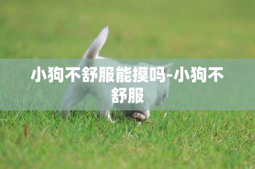 小狗不舒服能摸嗎-小狗不舒服
