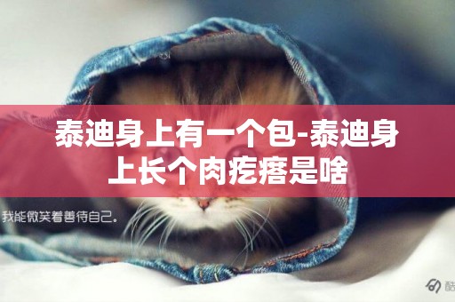 泰迪身上有一個包-泰迪身上長個肉疙瘩是啥