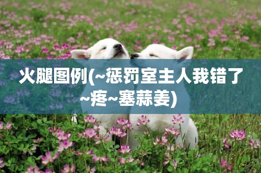 火腿圖例(~懲罰室主人我錯了~疼~塞蒜姜) 