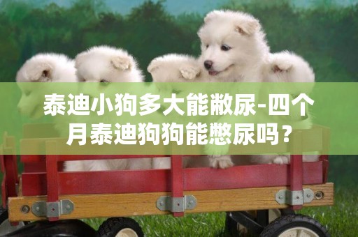泰迪小狗多大能敝尿-四個月泰迪狗狗能憋尿嗎？