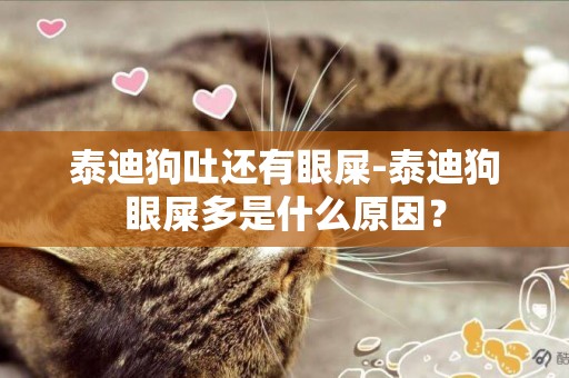 泰迪狗吐還有眼屎-泰迪狗眼屎多是什么原因？