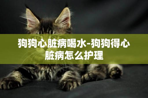 狗狗心臟病喝水-狗狗得心臟病怎么護理