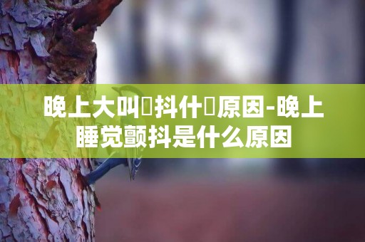 晚上大叫發抖什麼原因-晚上睡覺顫抖是什么原因