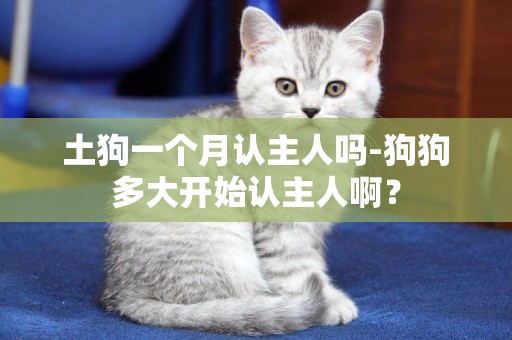 土狗一個月認主人嗎-狗狗多大開始認主人啊？