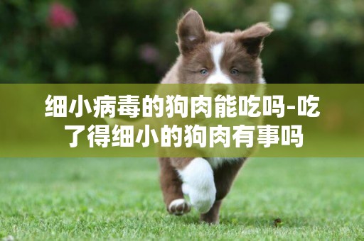 細小病毒的狗肉能吃嗎-吃了得細小的狗肉有事嗎