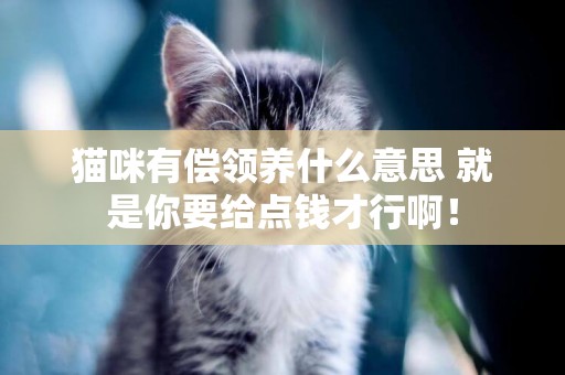 貓咪有償領養什么意思 就是你要給點錢才行啊！