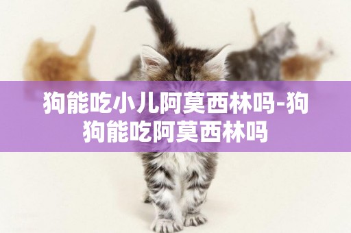 狗能吃小兒阿莫西林嗎-狗狗能吃阿莫西林嗎