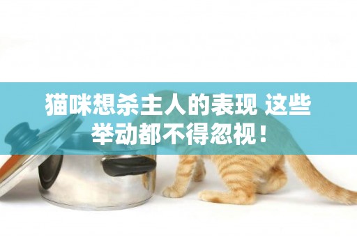貓咪想殺主人的表現 這些舉動都不得忽視！