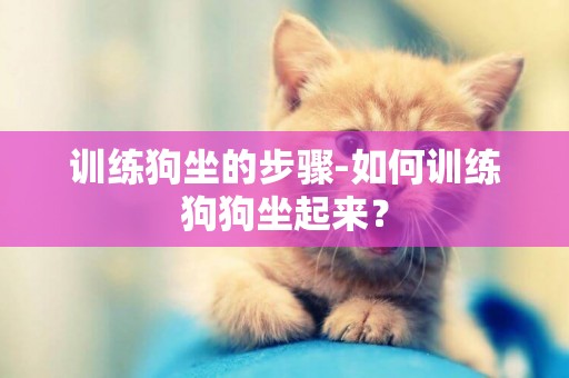 訓練狗坐的步驟-如何訓練狗狗坐起來？