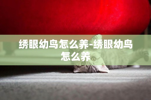 繡眼幼鳥怎么養-繡眼幼鳥怎么養