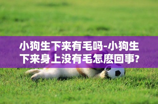 小狗生下來有毛嗎-小狗生下來身上沒有毛怎麼回事?