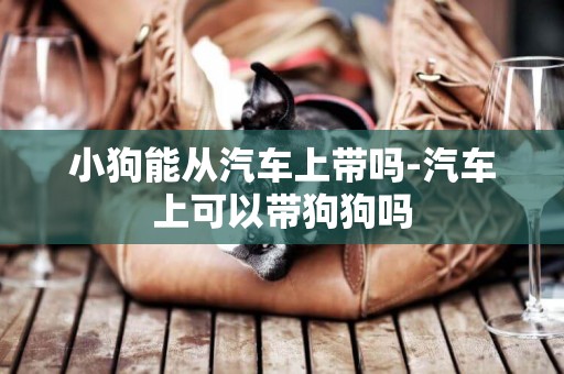 小狗能從汽車上帶嗎-汽車上可以帶狗狗嗎