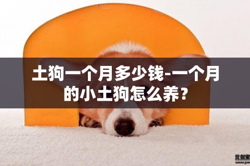 土狗一個月多少錢-一個月的小土狗怎么養？