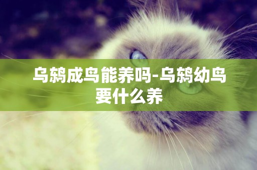 烏鶇成鳥能養嗎-烏鶇幼鳥要什么養