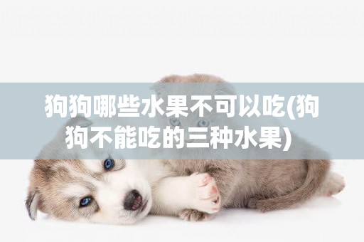 狗狗哪些水果不可以吃(狗狗不能吃的三種水果) 