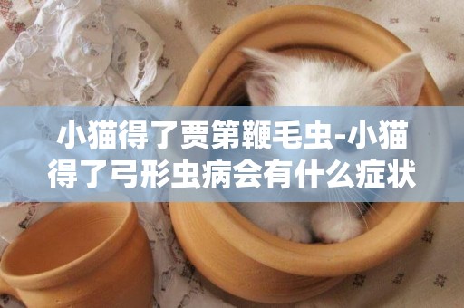 小貓得了賈第鞭毛蟲-小貓得了弓形蟲病會有什么癥狀？