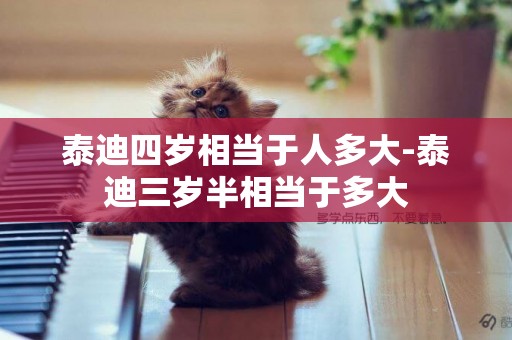 泰迪四歲相當于人多大-泰迪三歲半相當于多大