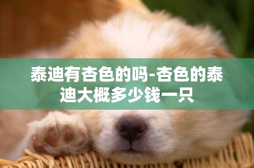 泰迪有杏色的嗎-杏色的泰迪大概多少錢一只
