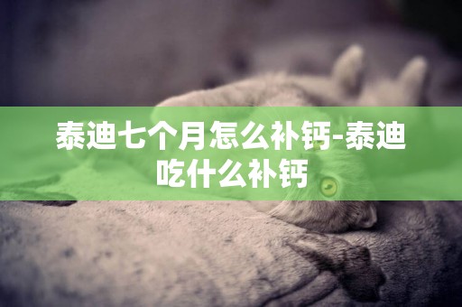泰迪七個月怎么補鈣-泰迪吃什么補鈣