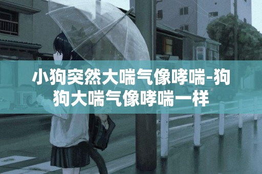 小狗突然大喘氣像哮喘-狗狗大喘氣像哮喘一樣