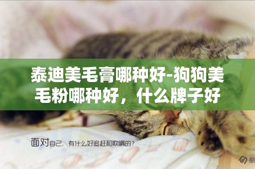 泰迪美毛膏哪種好-狗狗美毛粉哪種好，什么牌子好