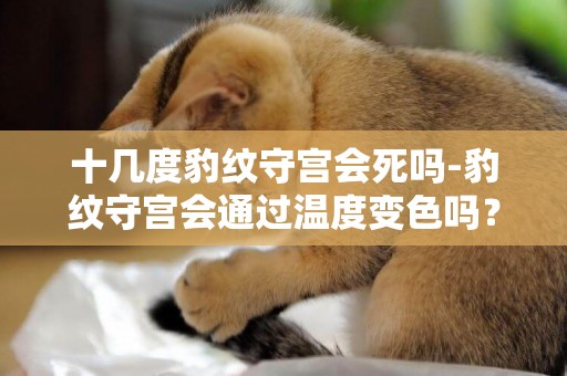十幾度豹紋守宮會死嗎-豹紋守宮會通過溫度變色嗎？