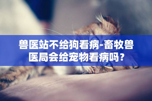 獸醫站不給狗看病-畜牧獸醫局會給寵物看病嗎？