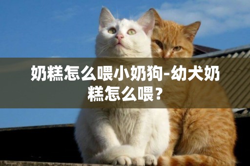奶糕怎么喂小奶狗-幼犬奶糕怎么喂？