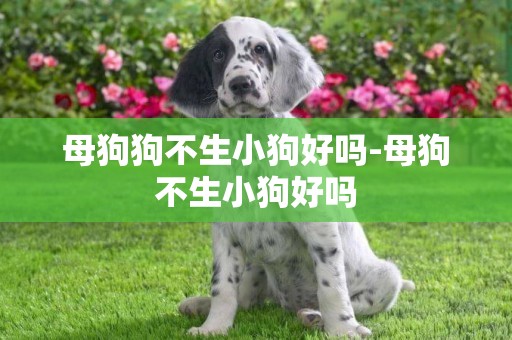 母狗狗不生小狗好嗎-母狗不生小狗好嗎