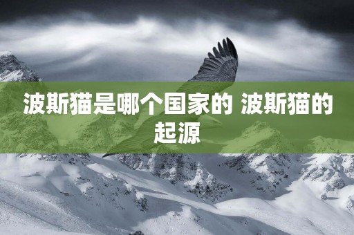 波斯貓是哪個國家的 波斯貓的起源 波斯貓是哪個國家的 波斯貓的起源