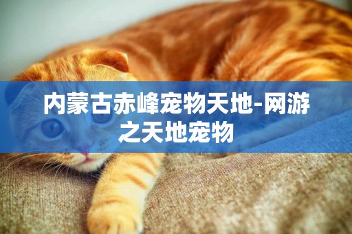 內蒙古赤峰寵物天地-網游之天地寵物