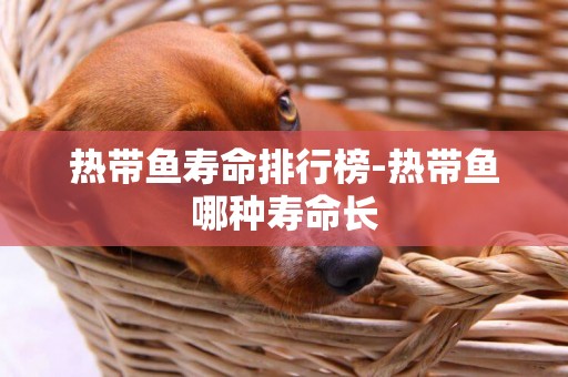 熱帶魚壽命排行榜-熱帶魚哪種壽命長