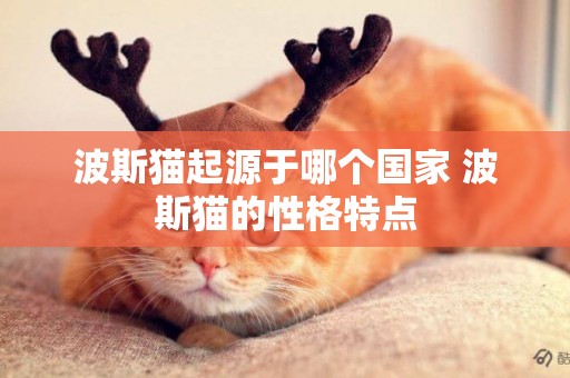 波斯貓起源于哪個國家 波斯貓的性格特點
