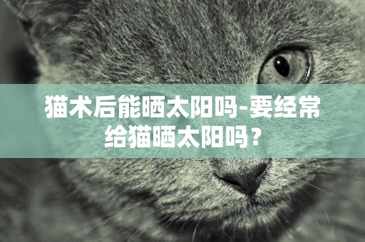 貓術后能曬太陽嗎-要經常給貓曬太陽嗎？