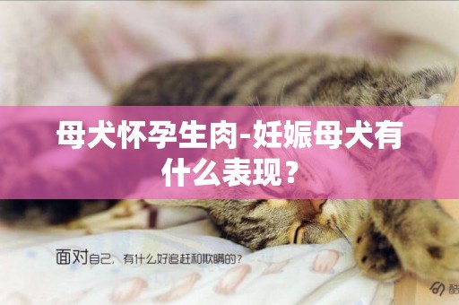 母犬懷孕生肉-妊娠母犬有什么表現？